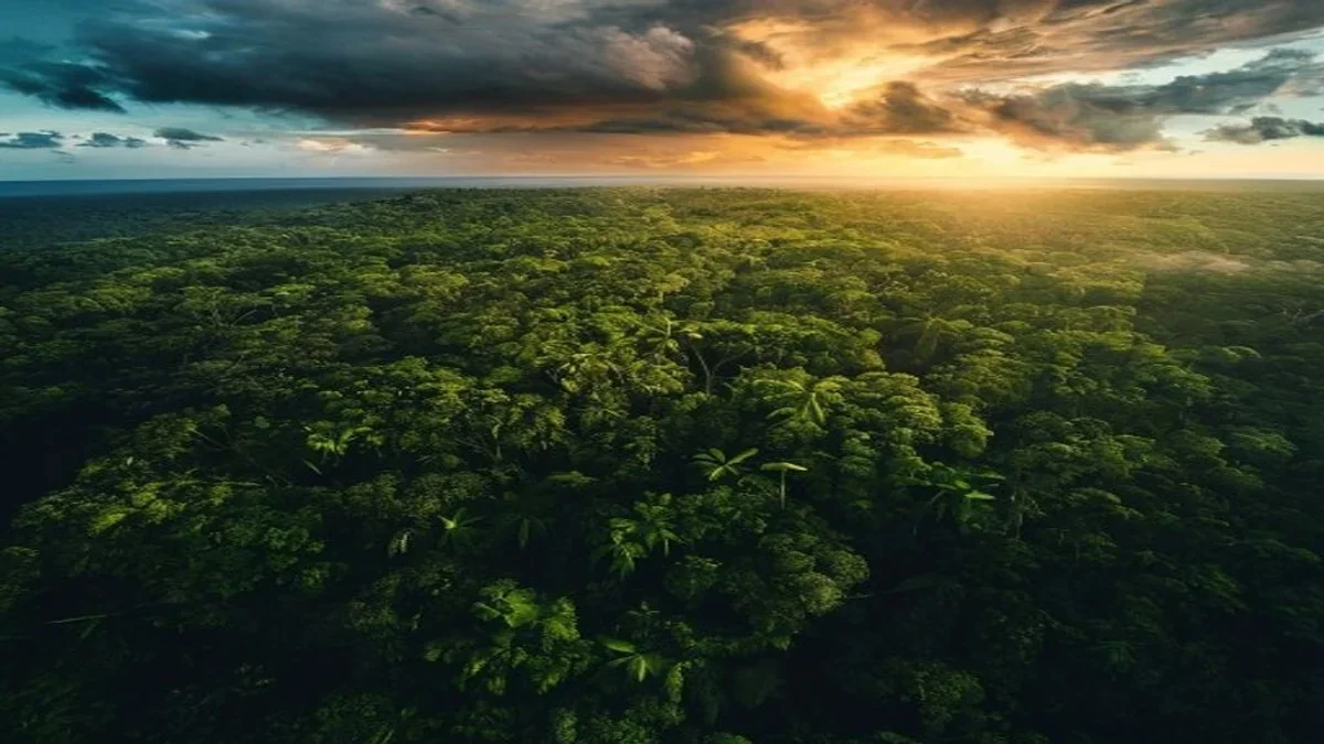 Auren lança plataforma de e-commerce de créditos de