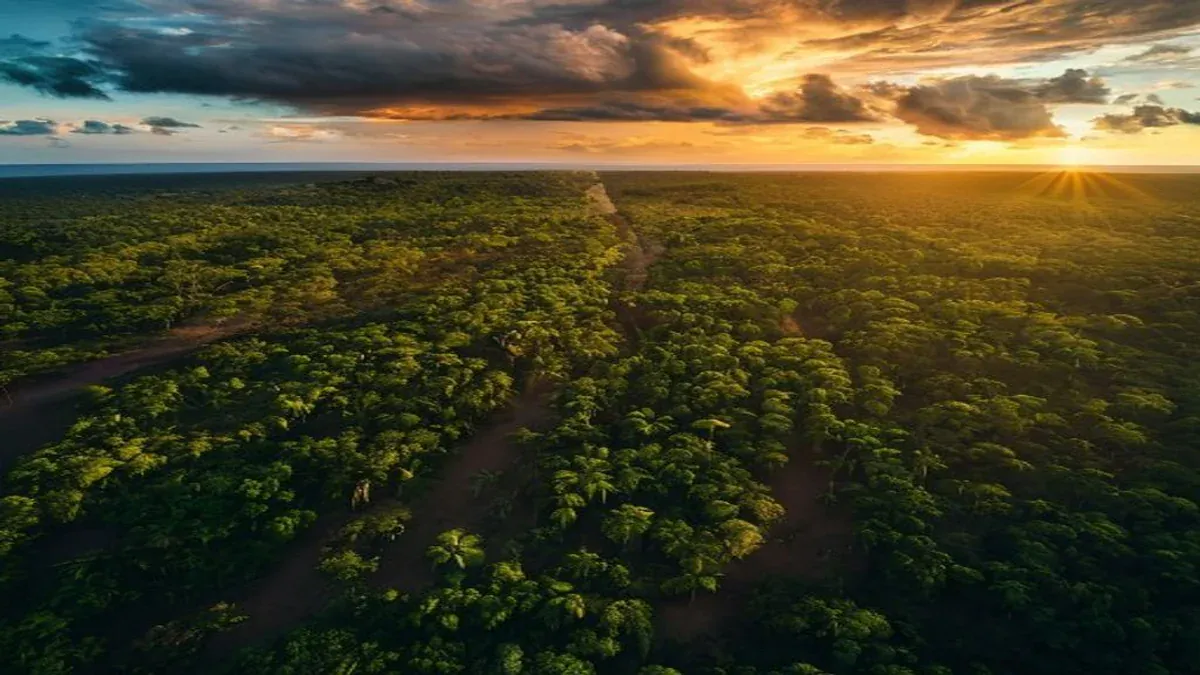 Natura, Grupo Boticário e Mercado Livre lideram