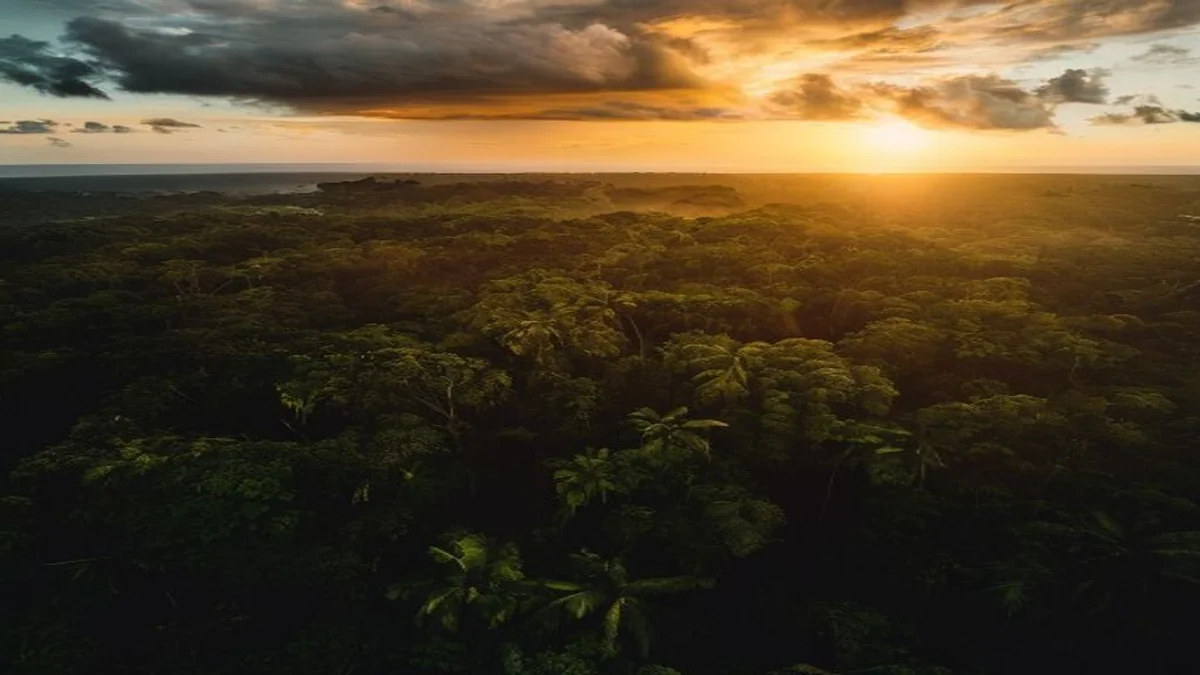 Seguros SURA Brasil lança portfólio para energia solar